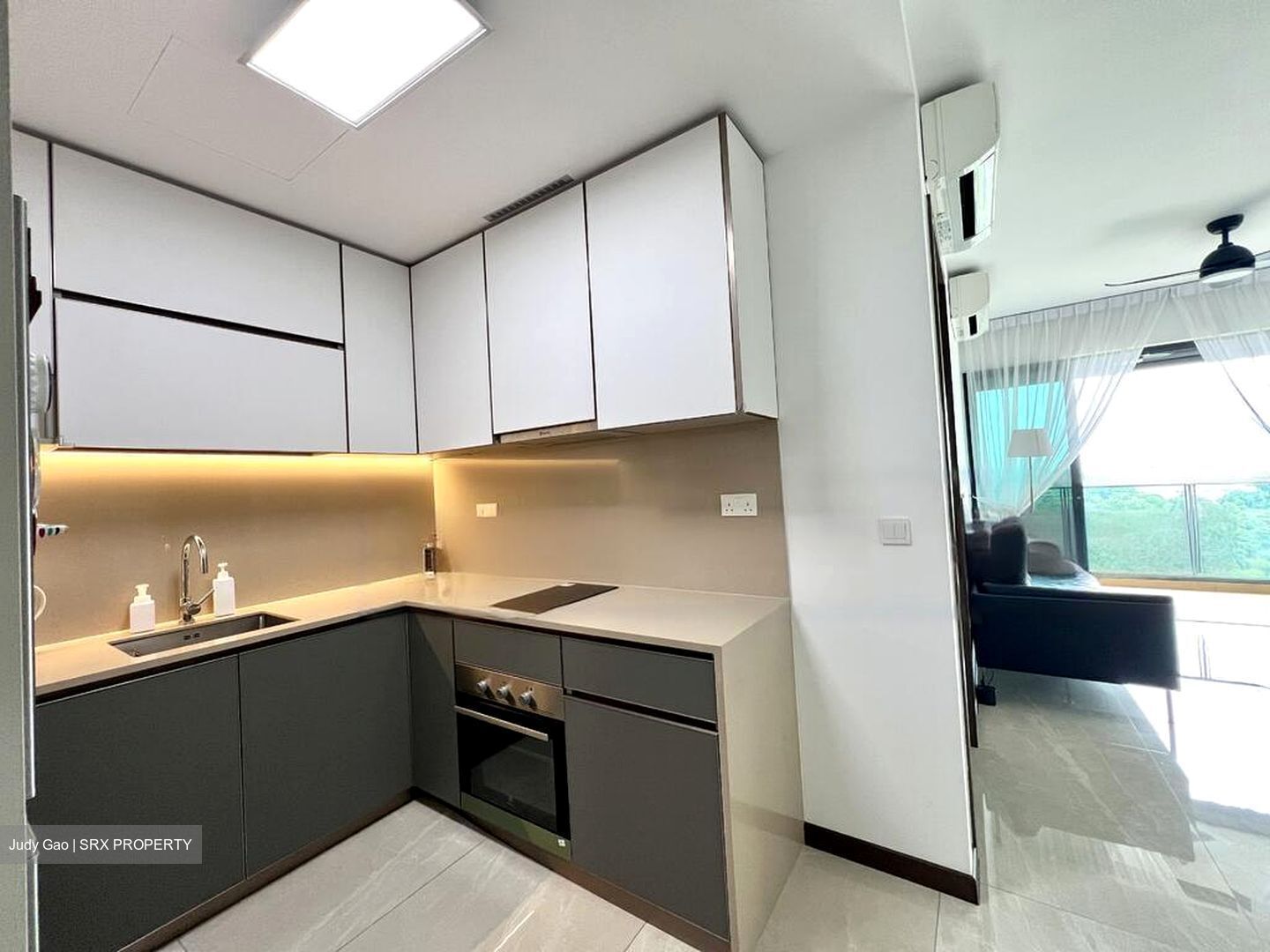 Normanton Park (D5), Apartment #480343341